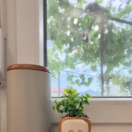 Minja 2